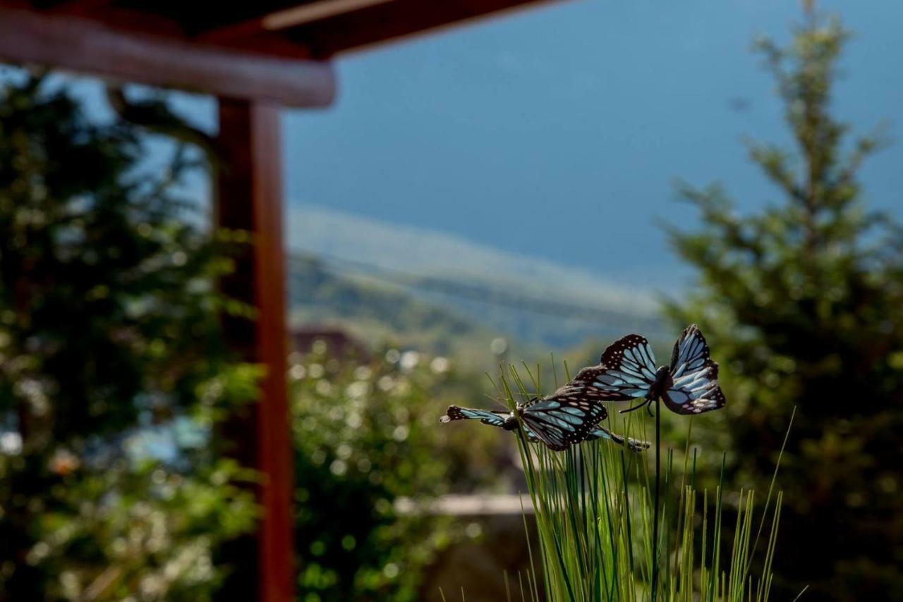 Villa Zvonimir Zagvozd Екстериор снимка